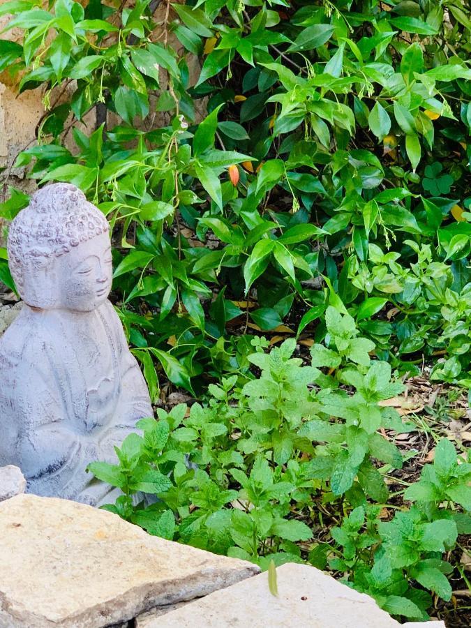 Appartement Avec Jardin Privatif Cazouls-les-Beziers Luaran gambar