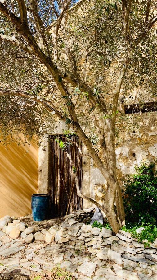 Appartement Avec Jardin Privatif Cazouls-les-Beziers Luaran gambar